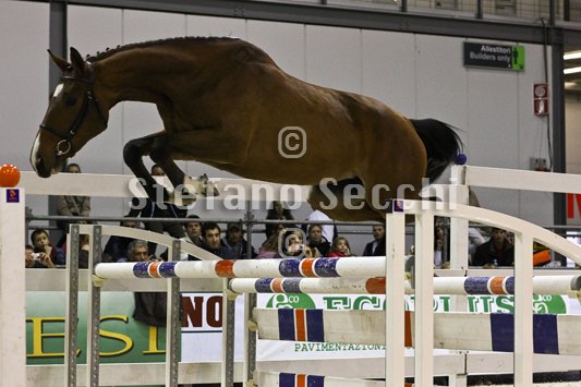 NADA BRAUN_MILANO_2010_SS3_1553.jpg